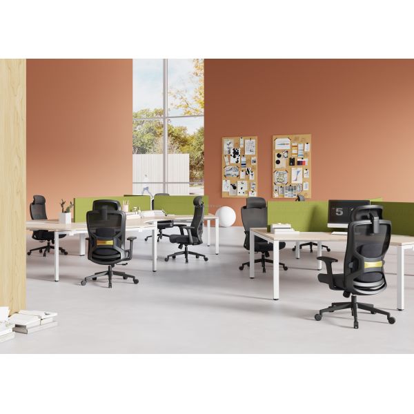 Modern Ergonomic Black Office Chair with Lumbar Support and BIFMA Standard Certificate