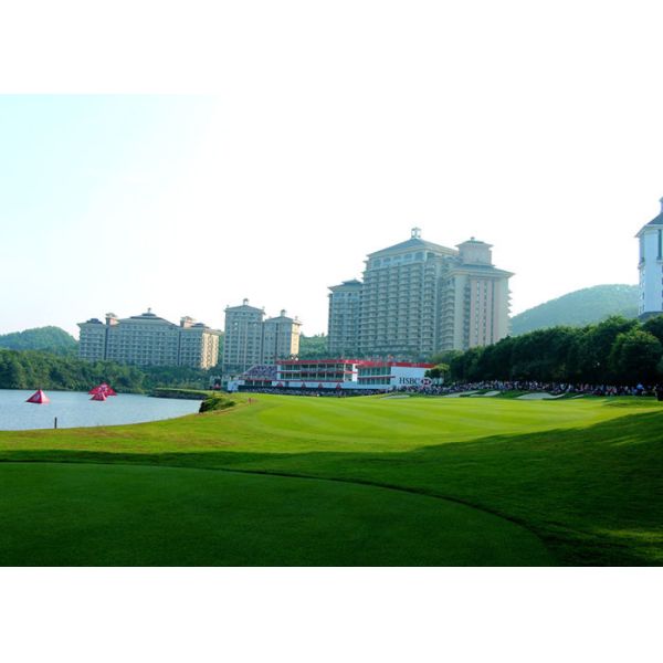 Fibrillated Shape PE Material Outdoor Artificial Grass For Sports / Backyard Putting Green