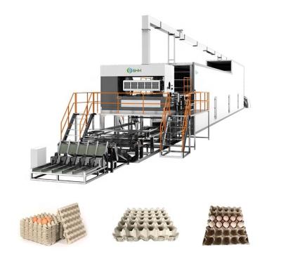 Máquina de embalagem de embalagens de ovos de pasta de papel totalmente automática