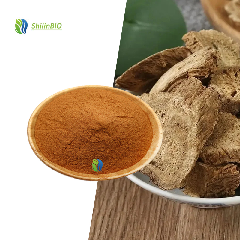 High Quality Food Grade Aucklandiae Radix Extract 5:1 10:1 20:1
