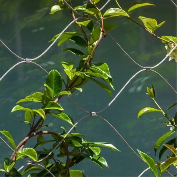 Stainless Steel Wire Rope Mesh 100*100mm Green Plant Climbing Trellis Wall Mesh for Garden