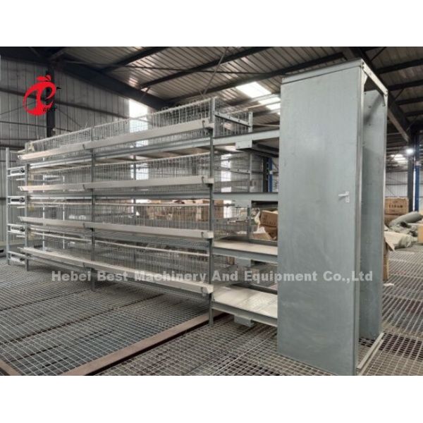 Система птицеводческих клеток типа H/A с автоматическими питьевыми кормилицами Установка для Танзании Уганда Гана Кения Сэнди