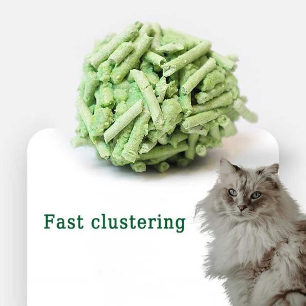 Déodorant pour le thé vert, poudre libre de la litière de chat, bande de tofu de la litière de chat