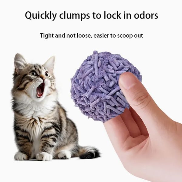 ODM Litte de chat parfumée de lavande Pea Corn Starch Lavande Litte de chat