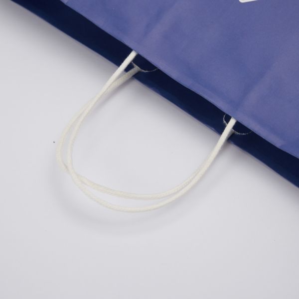 Custom Printed Paper Gift Bags 16x6x12 Shopping Bags