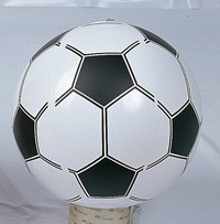 Customized inflatable beach football