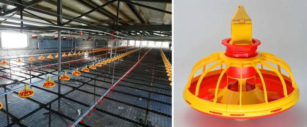 Fully-Automatic Poultry Farm Equipment with Hot-Dip Galvanized Steel and Negative Pressure Ventilation