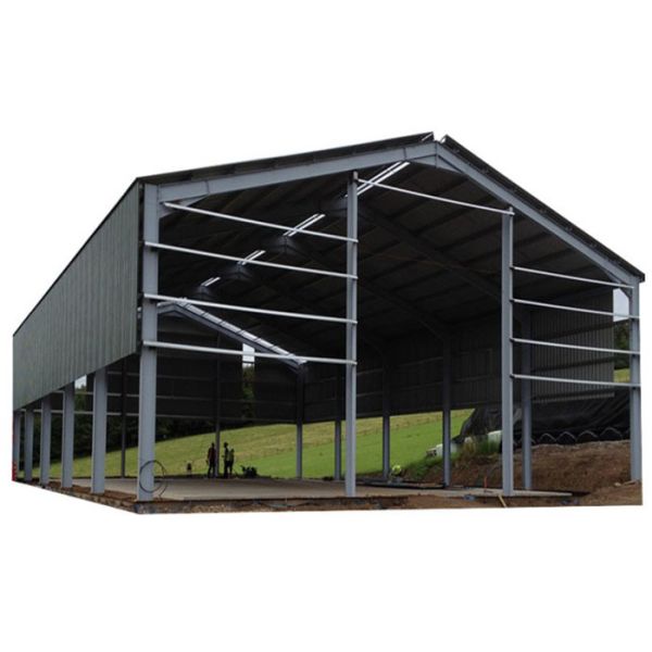 Topshaw Light Steel Structure Pre-fabricated Workshop Shed Hangar Workshop Warehouse Design