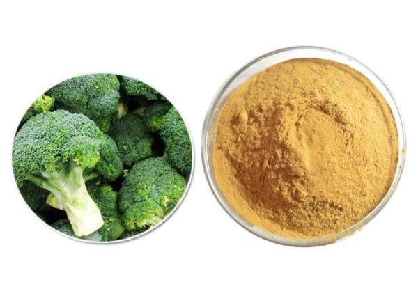 Brown Yellow Powder 100% Pure Plant Extracts , Organic Broccoli Sprout Powder ISO9001