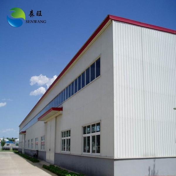 Custom Color Steel Structural Building with Skylight and X-Type Bracing