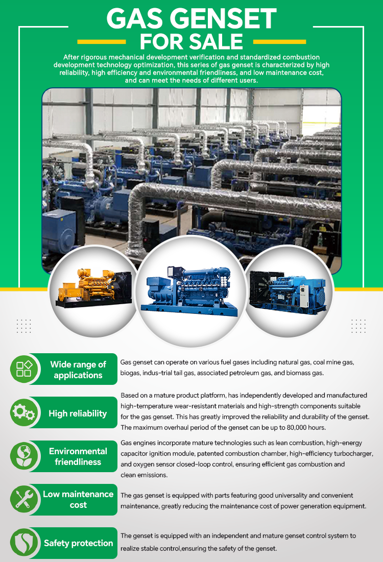 Custom 500kw 800kw 1000kw Methane LNG LPG Natural Gas Powered Generators Set with Water Cooled Backup Generation