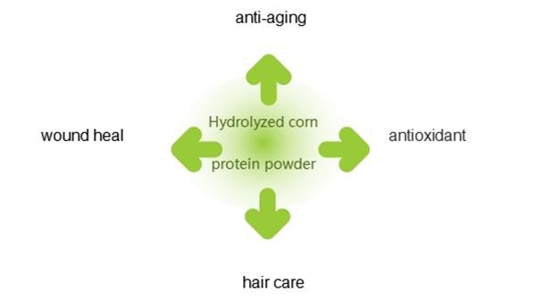 Hydrolyzed Corn Protein