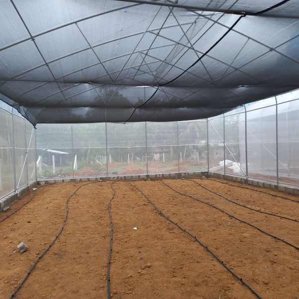 OEM Hydroponic Tunnel Plastic Greenhouse Galvanizing Steel Farm Supply Greenhouse