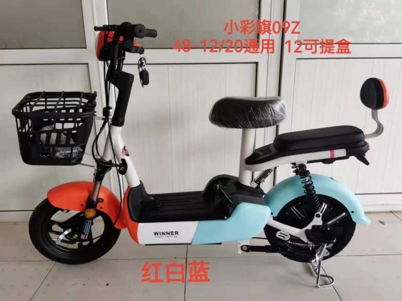 2 скутер 2 колес электрический колеса 14 дюймов для взрослых 48v 500w 12Ah