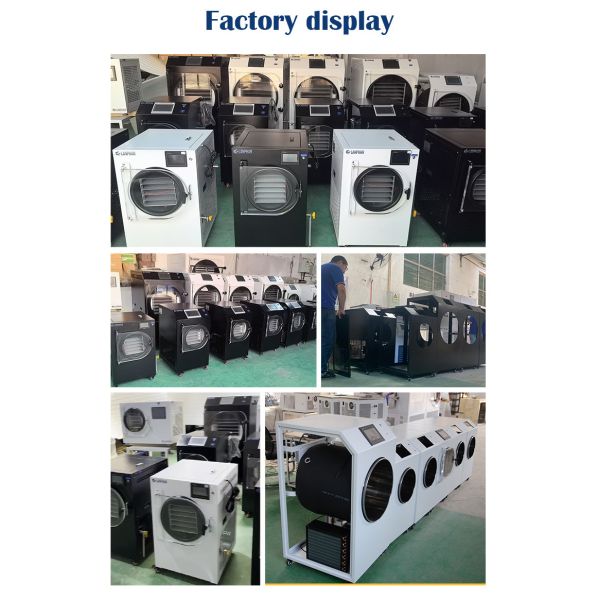 4m2 14 Grands Plateaux Machine de Séchage de Fruits Alimentaires sous Vide Prix Équipement Commercial de Lyophilisation sous Vide Alimentaire