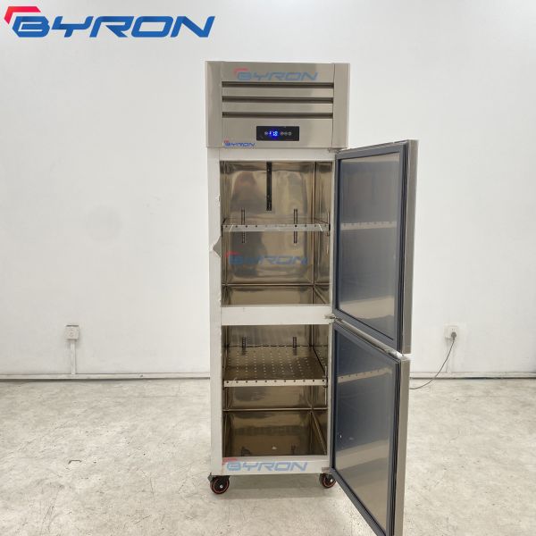 Business Food Glass Door Display Freezer Upright Display Freezer Customized Logo