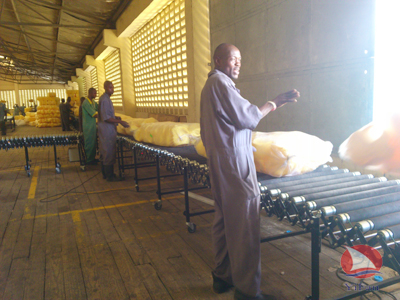 Flexible Motorized Stainless Steel Roller Conveyor,Flexible Roller Conveyor