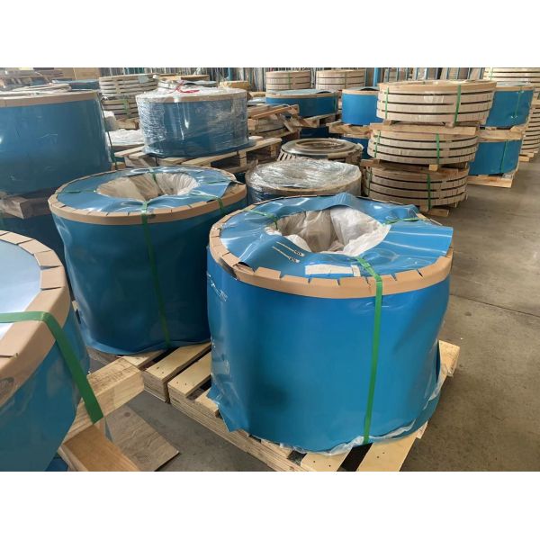 Нержавеющая сталь ASTM 316L обнажает 0.21mm