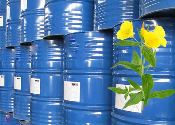 Cold Pressed Evening Primrose Oil