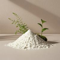ChP2020 Standard White Powder Beta Cyclodextrin Odor Absorber cas 7585-39-9