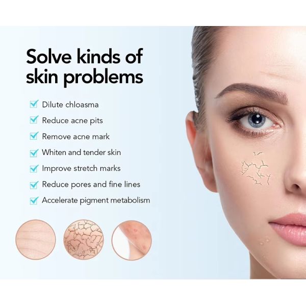 6 Speed Micro Needle Derma Pen Mesotherapy Gun For Deep Skin Tightening