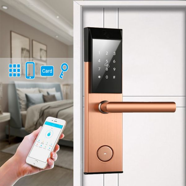 Electronic WiFi App Sus304 Wifi Front Door Lock Smart Home Alkaline Batteries