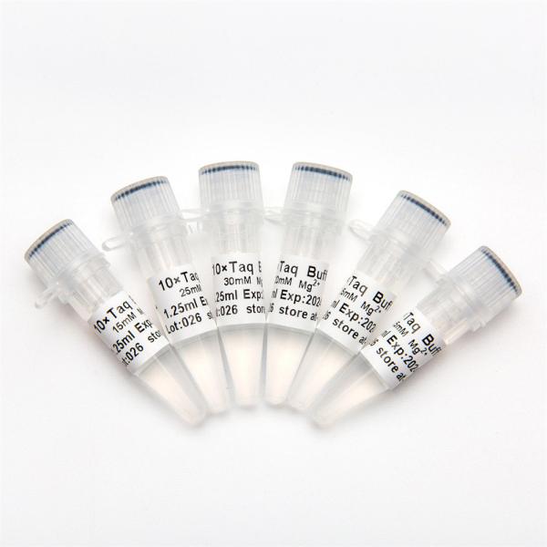 1.25ml×6 PCR Master Mix 10× PCR Buffer With Mg2+ Set P5011b