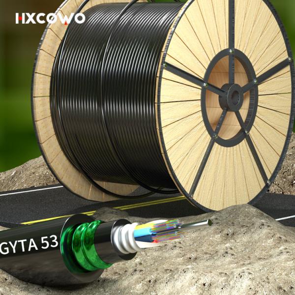 G652D/G657A1/G657A2 Fiber Optic Cable GYTA53 6-288 Core for Telecom Comunication