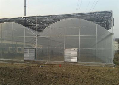 Large Size Reinforced Plastic Sheeting Greenhouse With Hydroponics System