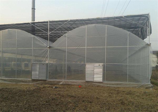 Large Size Reinforced Plastic Sheeting Greenhouse With Hydroponics System