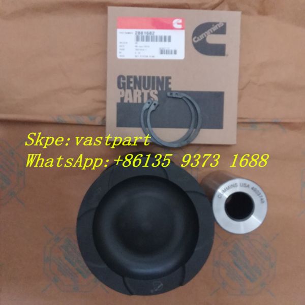 Hot Sell Cummins diesel engine parts Isx15 Qsx15 Diesel Engine Fan Drive 12pk Belt 3106099