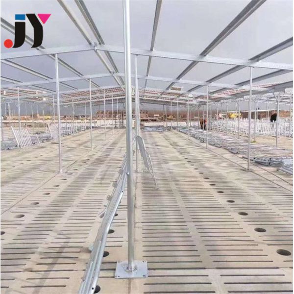 50 Years Life Span Light Steel Structure Poultry House with Hot Galvanised Steel