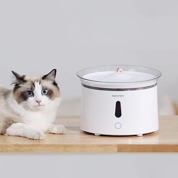 2.4L Automatic Electric Pet Water Dispenser Private Mold Functional Dog Bowl