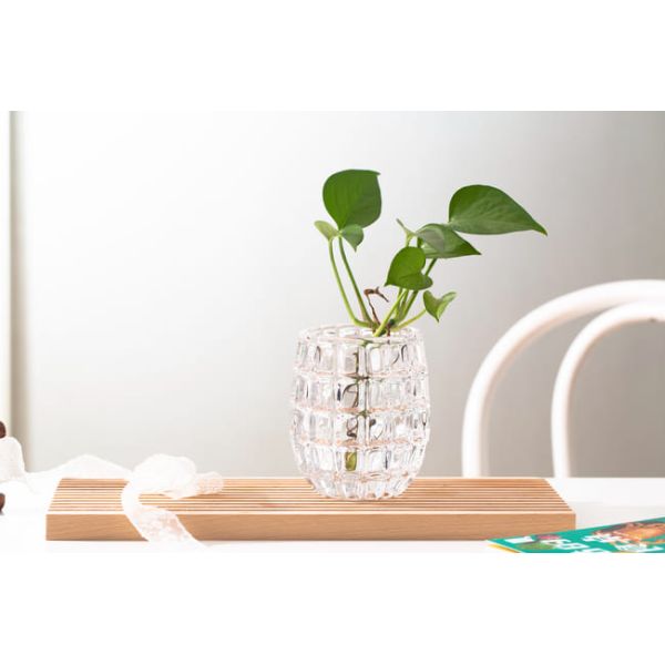 Egg Shape Home Decoration Glass Bottles 520ml Machine Made Mini Clear Glass Vases