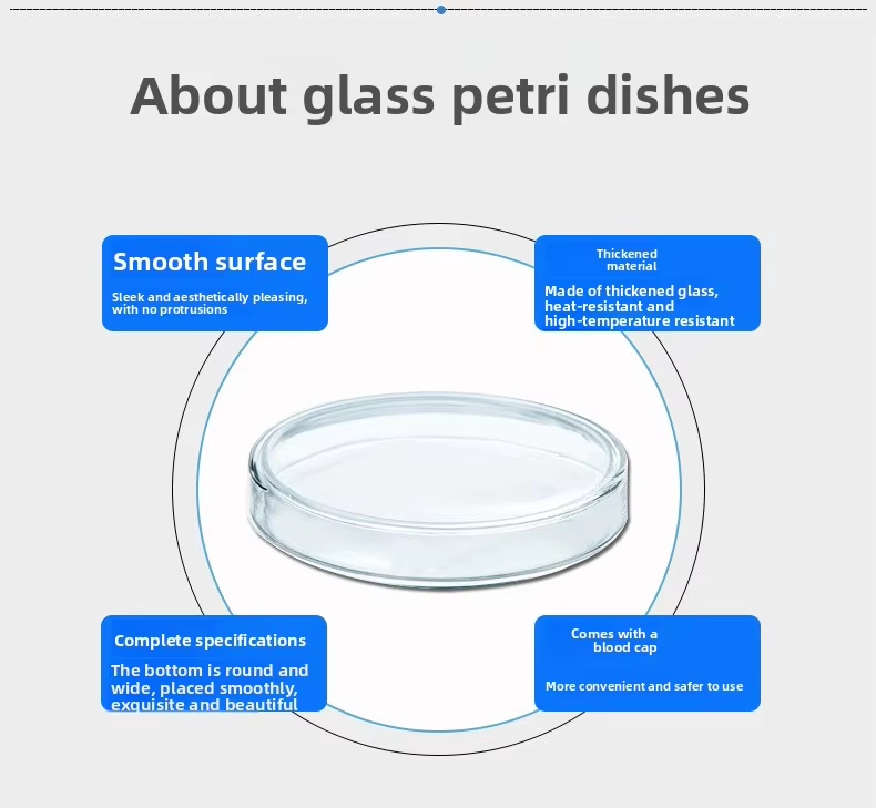 Glass Petri Dishes 90mm 60mm 75mm 120mm 150mm Cell Culture High Borosilicate Flat Dishes Model Fifty Jiangsu Origin