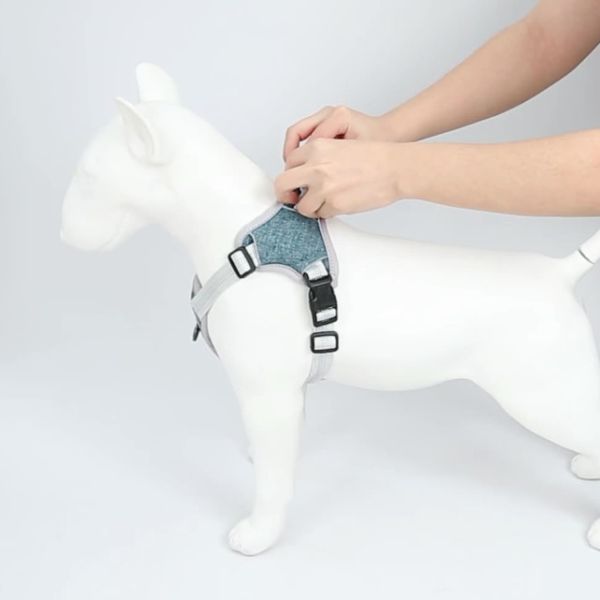 Котята регулируемых котов поводка проводки любимца больших мягкие возлагают с отражательной прокладкой