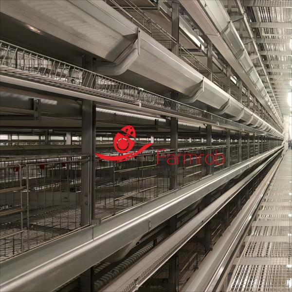 Diseño automático del sistema de jaulas para pollos de engorde de generación comercial