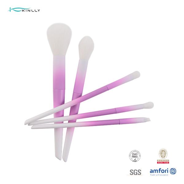 Travel 5pcs Plastic Makeup Brushes For Powder Contour Eyeshadow
