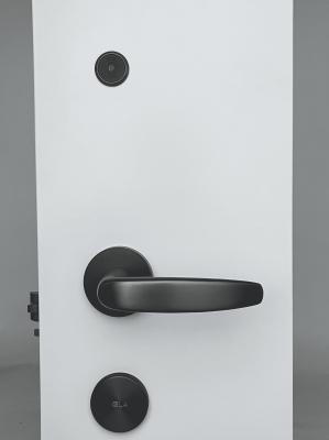 Stainless Steel RFID Hotel Lock Gray Smart Keyless Door Lock