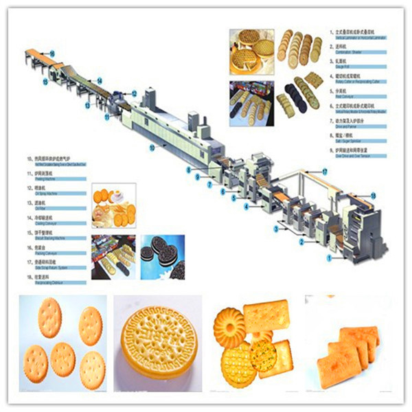biscuit machinery