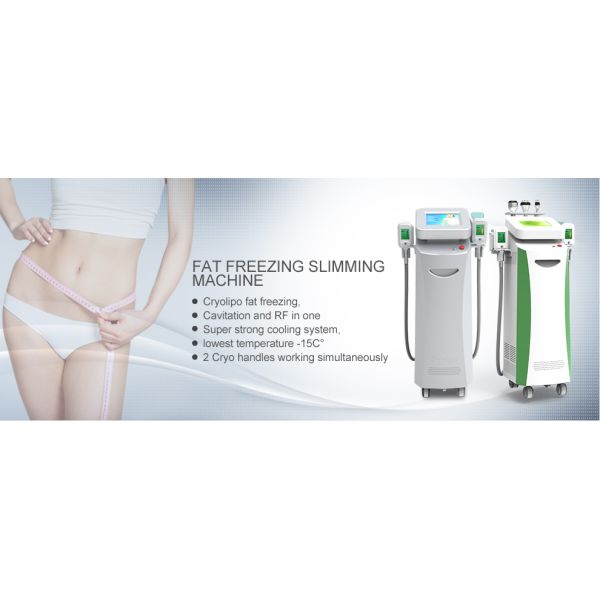 2018 Cryolipolysis Ultrasound Cavitation RF / Europe popular 4 handpieces cryomed cryolipolysis machine cellulite