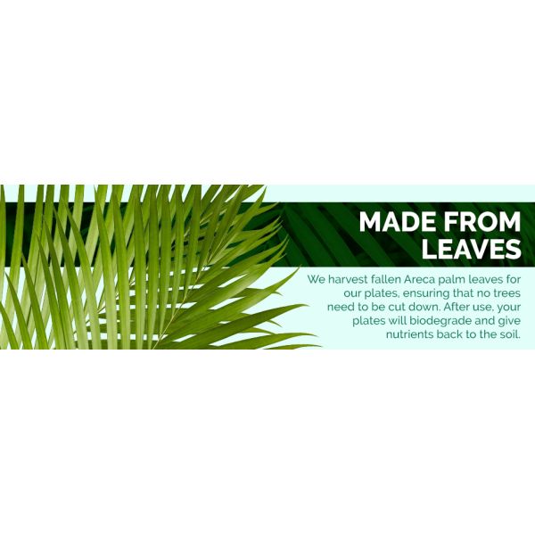 10-Piece Set of Palm Leaf Plates for Wedding Dinner Round and Square Disposable Dishes