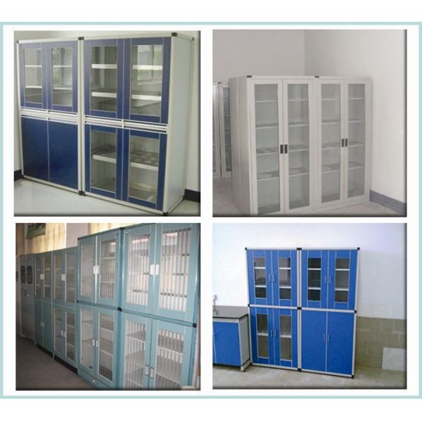 Blue / Grey Lab Storage Cabinets 900 / 1200 * 500 * 1800 Mm SGS Approved