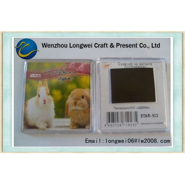 Магнит холодильника милого кролика ОЭМ акриловый, магниты холодильника кухни