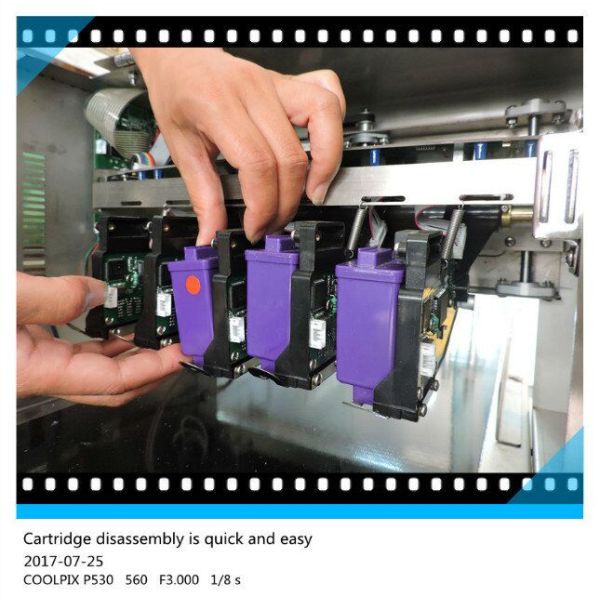 Poultry Egg Date Coding Machine Automatically Updated With LCD Touching Screen