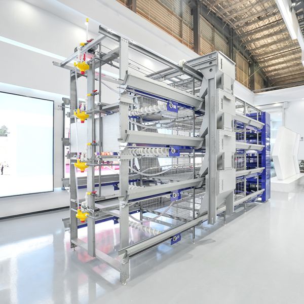 Broiler Cage Poultry Cage Battery Cage Poultry Equipment Chain Type Harvesting