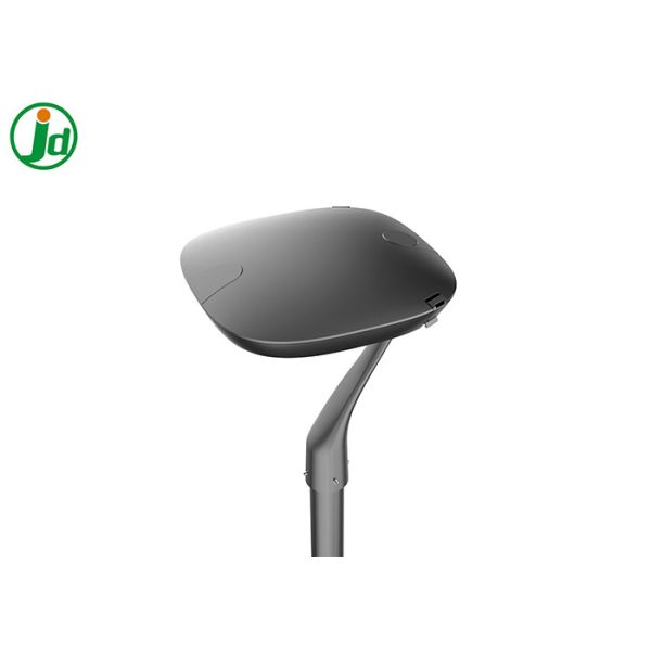 Extérieur meurent la lumière de jardin menée par 60W de fonte d'aluminium pour