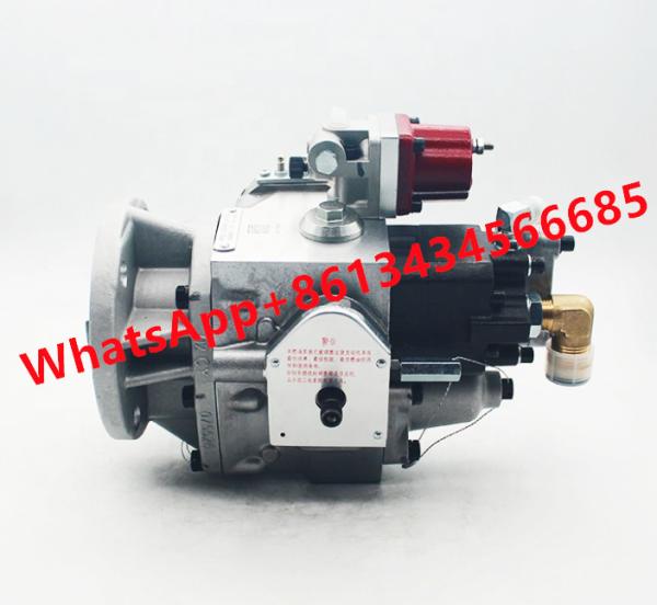 360kW Generator Fuel Engine Pumps 3074672 4061417 4915445 4951479 For KTA19-G3