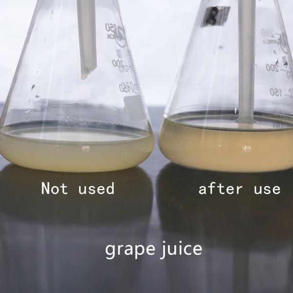 Enzymes végétaux de fruits 20000U/g Enzymes de pectinase dans la production de jus de fruits Ppt Activité enzymatique personnalisée