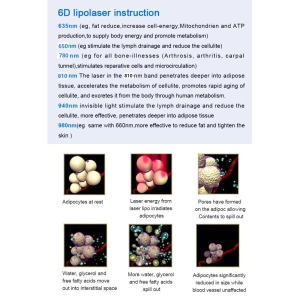 6 длины волны 6d липополимер для похудения тела